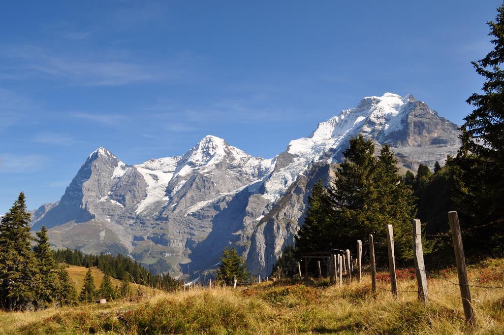 Chalet Bim Chilchli Mürren Buitenkant foto