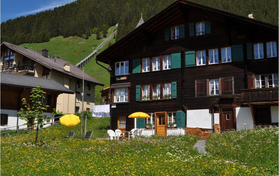 Chalet Bim Chilchli Mürren Buitenkant foto